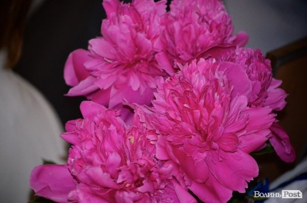 У Луцьку відкрили реабілітаційне відділення для воїнів АТО. ФОТО 