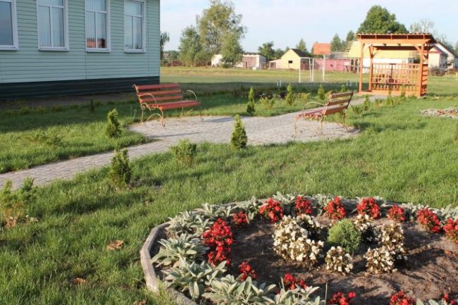 На Волині школярі з лісівниками створили Алею Слави у пам'ять про загиблого атовця