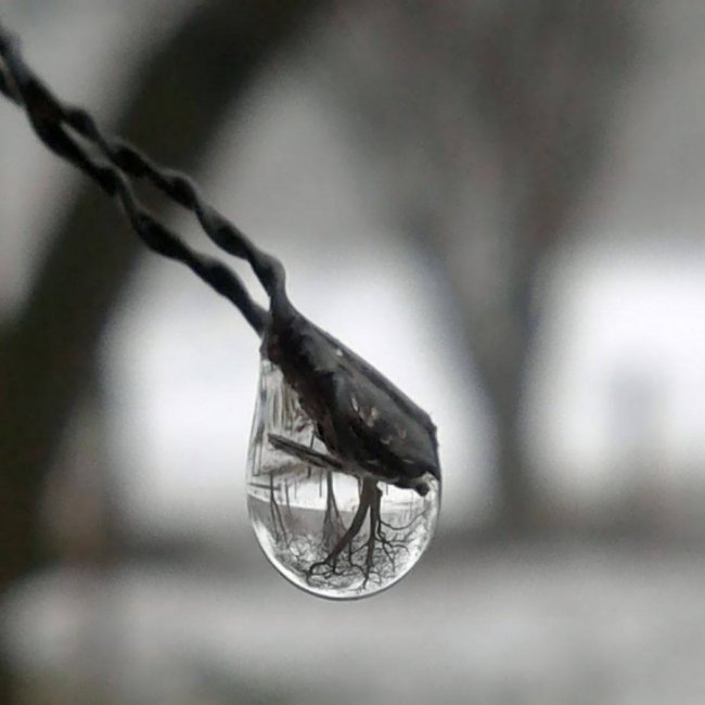 Краса волинської зими. ФОТО