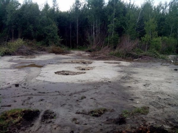 Копачі бурштину штурмували прикордонний підрозділ. ФОТО. ВІДЕО 18+