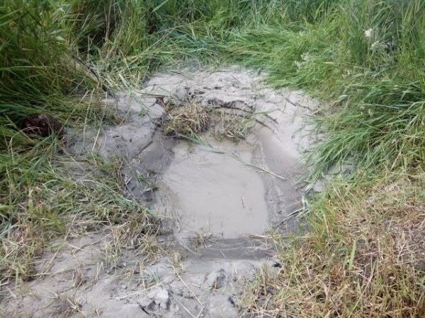 Копачі бурштину штурмували прикордонний підрозділ. ФОТО. ВІДЕО 18+