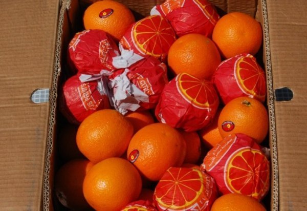 Байкери привезли дітям гостинці