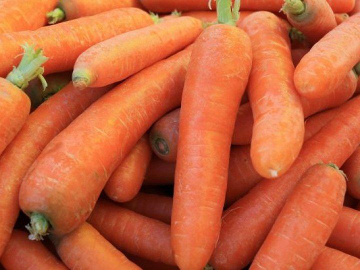 Морква буде твердою аж до весни: як правильно зберігати овоч