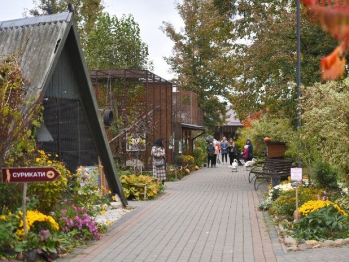 У Луцьку планують відремонтувати зоопарк: що зміниться