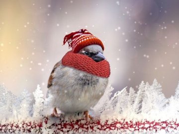 Погода в Луцьку та Волинській області на четвер, 16 січня