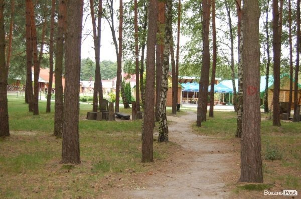 Як відпочивають в університетському таборі на Світязі. ФОТО