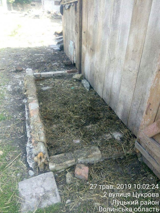 Гноївки, свині та сміття: що мешканці однієї з вулиць Луцька зберігають на своїх подвір'ях. ФОТО