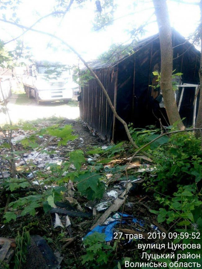 Гноївки, свині та сміття: що мешканці однієї з вулиць Луцька зберігають на своїх подвір'ях. ФОТО