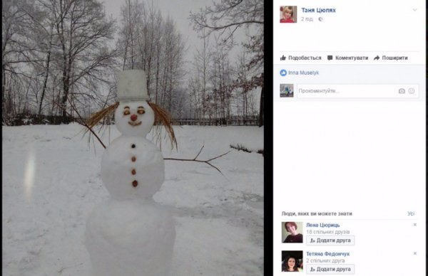 У Шацьку затіяли флешмоб сніговиків