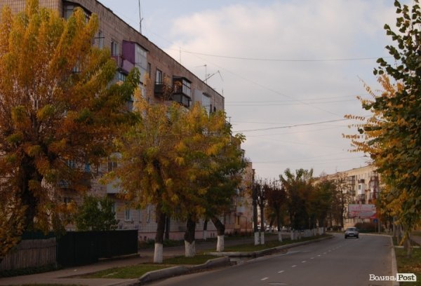 Ковель буденний. ФОТО