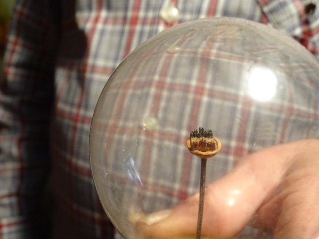 Скрипку вмістив у вишневій кісточці: майстер з Волині створює унікальні крихітні фігури