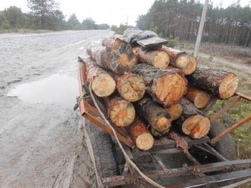 У школі на Волині розповіли про загиблого під возом з дровами учня