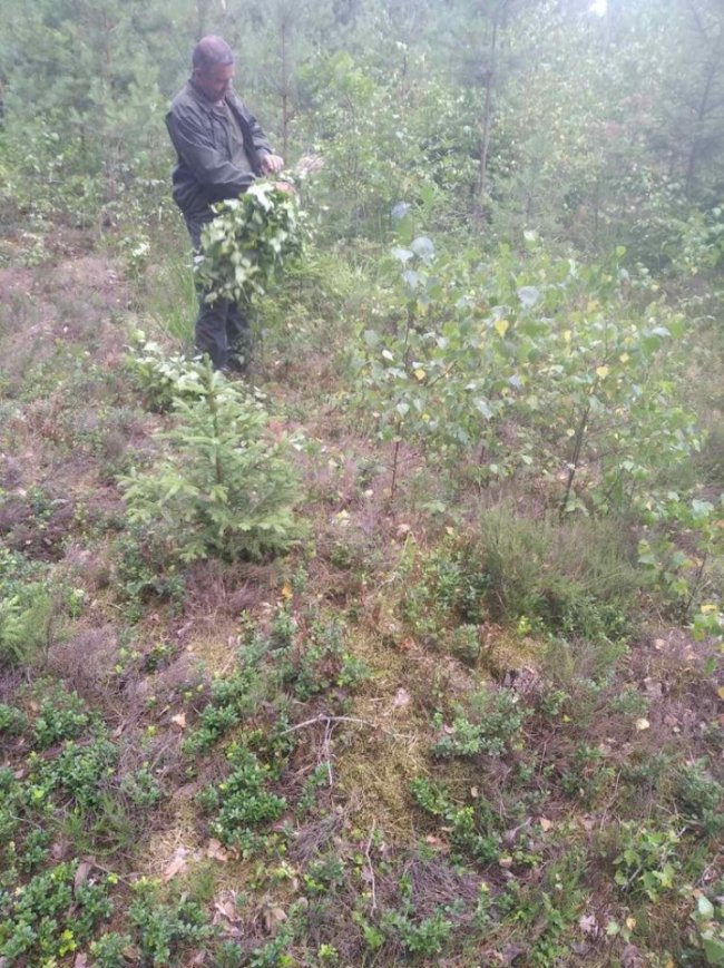 Волинські лісівники заготовляють смаколики на зиму для диких тварин. ФОТО