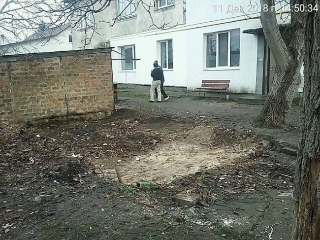 Демонтаж сараїв у Луцьку: вивезли вантажівку гнилого дерева. ФОТО