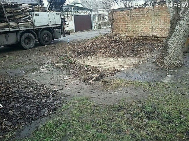 Демонтаж сараїв у Луцьку: вивезли вантажівку гнилого дерева. ФОТО