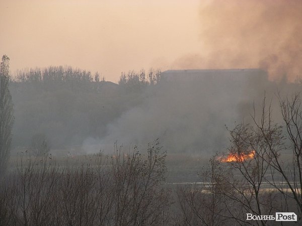 У Луцьку - чергова пожежа Гнідавського болота. ФОТО. ОНОВЛЕНО