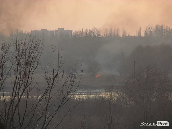 У Луцьку - чергова пожежа Гнідавського болота. ФОТО. ОНОВЛЕНО