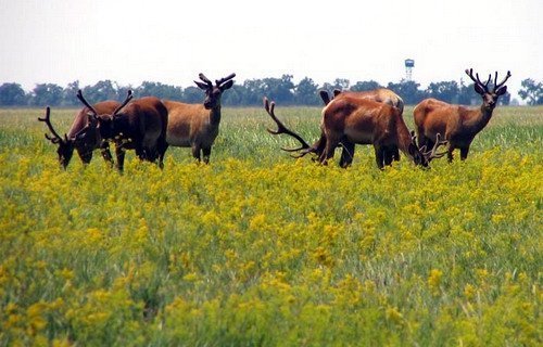 Сім природних чудес України. ФОТО.ВІДЕО