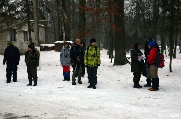 Як у «Цуманській пущі» рахували зубрів 