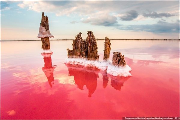 Соляні квіти та багряні ріки Криму. ФОТО