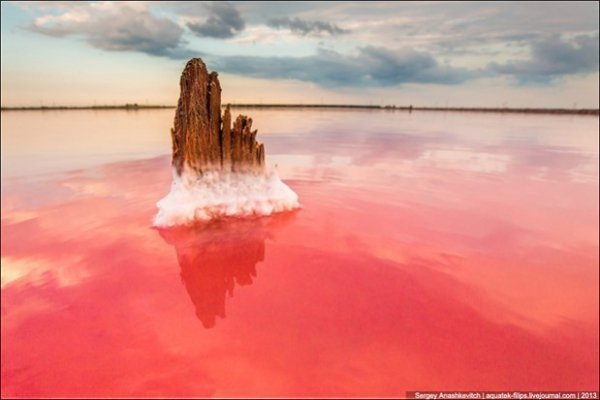 Соляні квіти та багряні ріки Криму. ФОТО