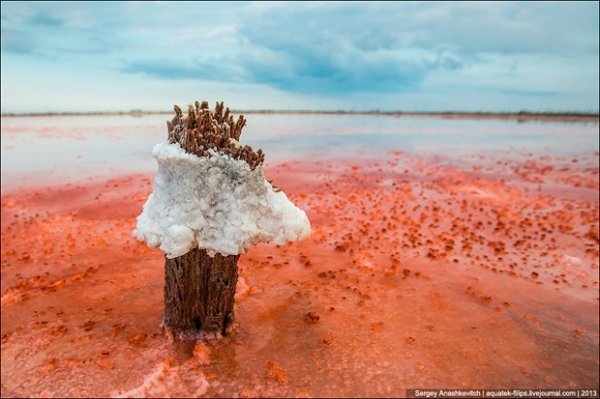 Соляні квіти та багряні ріки Криму. ФОТО