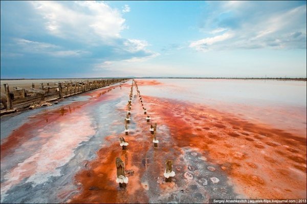 Соляні квіти та багряні ріки Криму. ФОТО