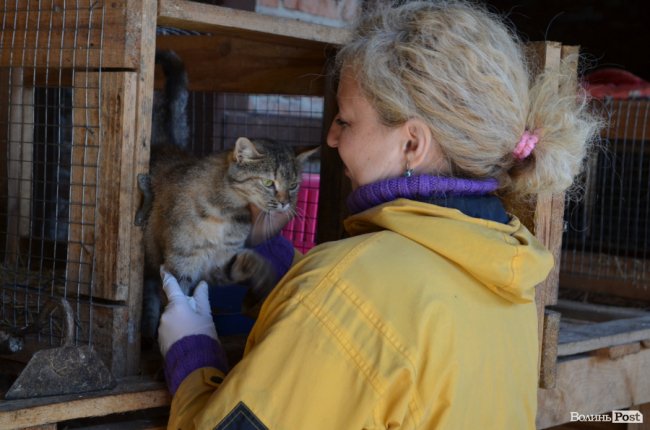 Показали умови, у яких живуть тварини в луцькій «Ласці». ФОТО
