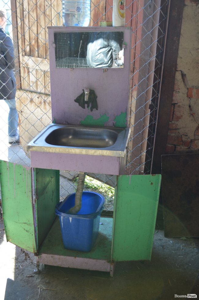 Показали умови, у яких живуть тварини в луцькій «Ласці». ФОТО