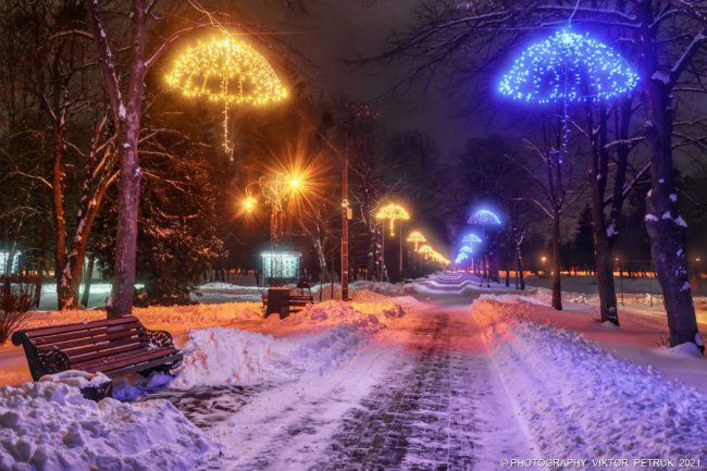 Зимова казка: опублікували неймовірні світлини вечірнього парку Луцька. ФОТО