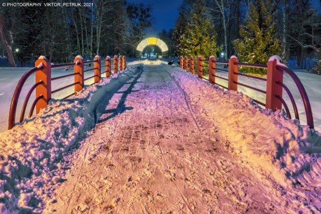 Зимова казка: опублікували неймовірні світлини вечірнього парку Луцька. ФОТО