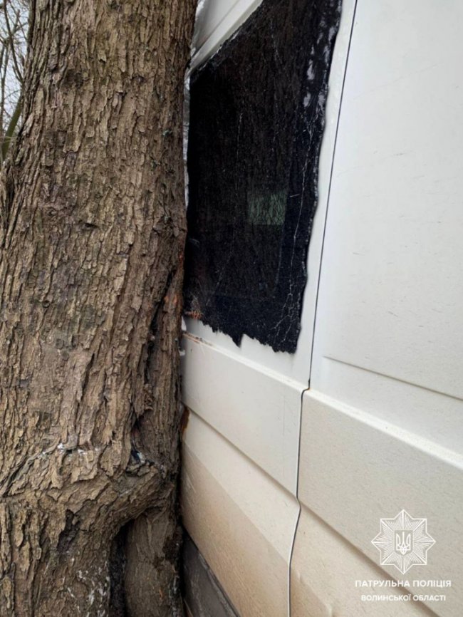 Аварія в Луцьку: машина влетіла в дерево