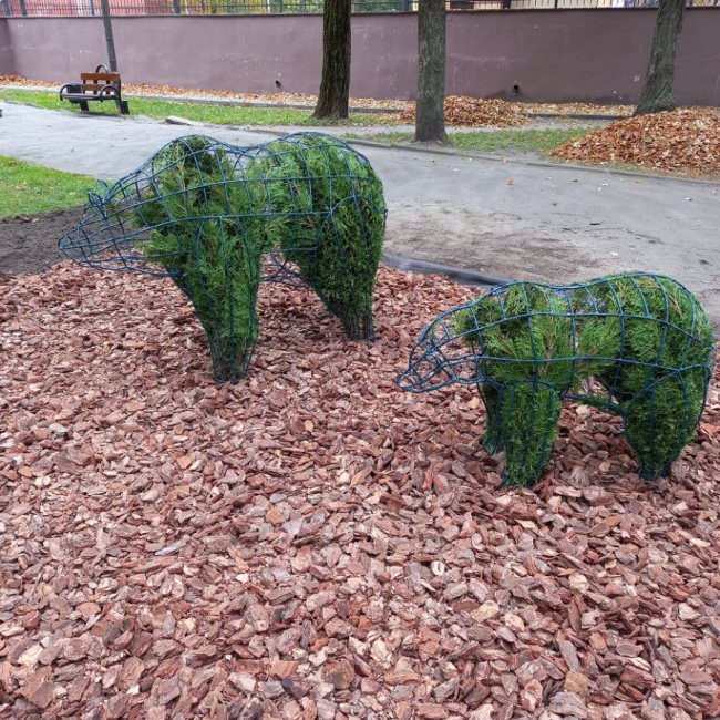 Поліція знайшла вандалів, які пошкодили топіарні фігури у Ковелі