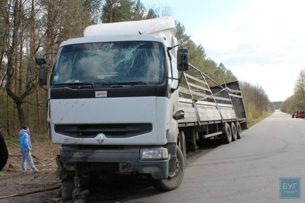 На Волині перекинулась вантажівка з курятиною. ФОТО