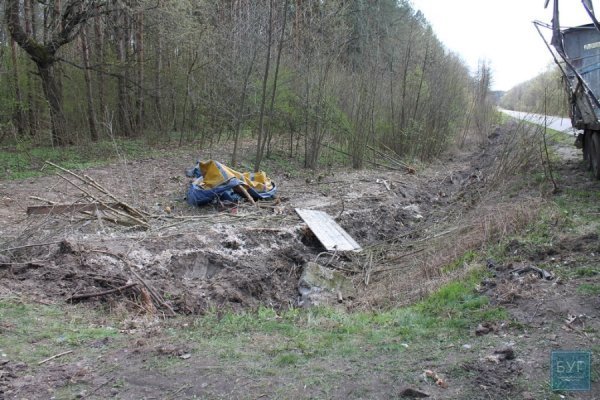 На Волині перекинулась вантажівка з курятиною. ФОТО