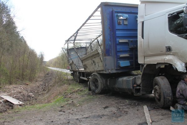 На Волині перекинулась вантажівка з курятиною. ФОТО