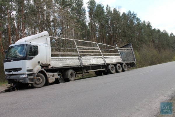 На Волині перекинулась вантажівка з курятиною. ФОТО