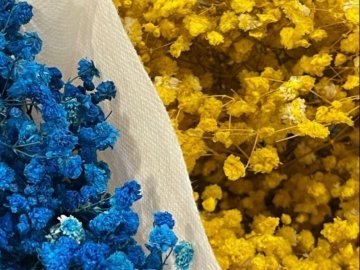 Добрі новини від ВолиньPost за 19 березня