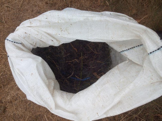 На Світязі зловили двох браконьєрів, які ловили рибу сіткою. ФОТО