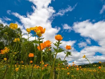 «Буде помірно тепло, проте дощів теж вистачатиме», – синоптик про погоду в Україні у найближчі дні  