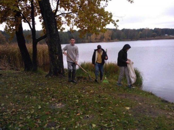 У волинських лісах – санітарний день. ФОТО