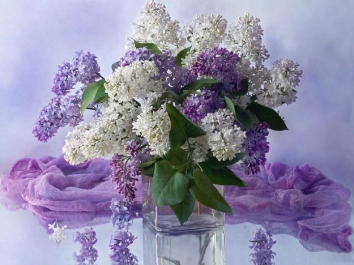 Чому травень такий холодний і яким буде літо: відповідь Укргідрометцентру