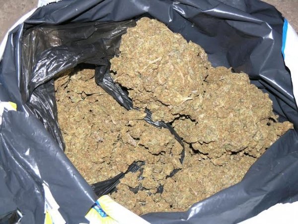 На Волині знищили 7,5 кілограма наркотиків. ФОТО