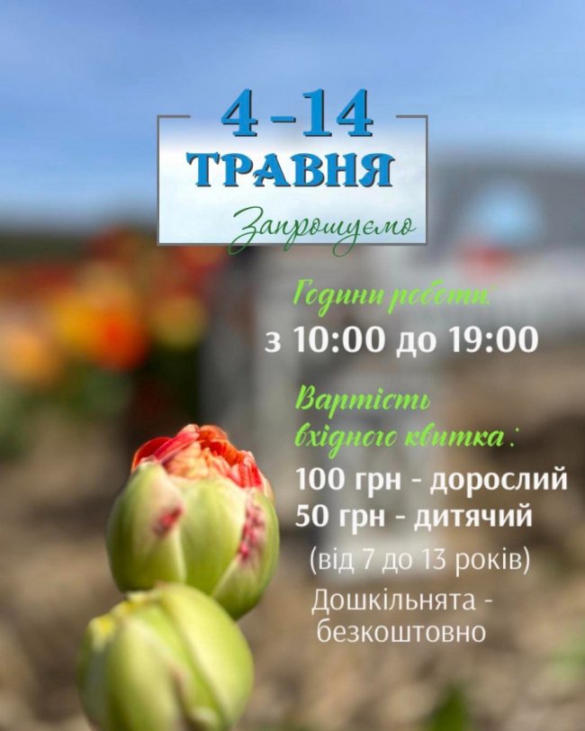 Як працюватиме Волинська Голландія та скільки коштуватиме квиток