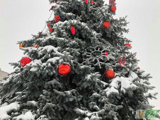 Вперше біля луцького РАЦСу прикрасили новорічну красуню. ФОТО