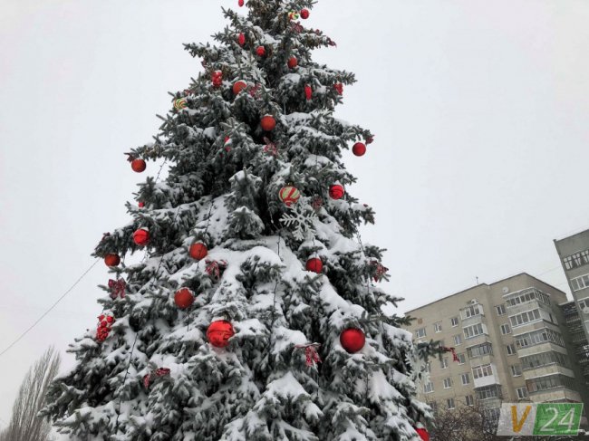 Вперше біля луцького РАЦСу прикрасили новорічну красуню. ФОТО