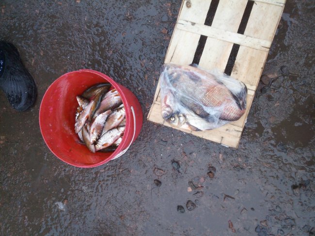 Вилучені сітки, човни, підсаки: як на Волині «воюють» з браконьєрами. ФОТО