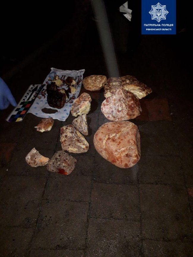 Лучанина з бурштином затримали на Рівненщині