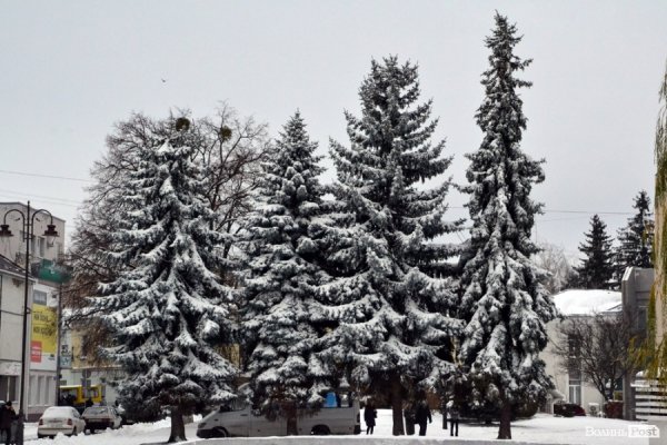 Фото снігового ранку в Луцьку