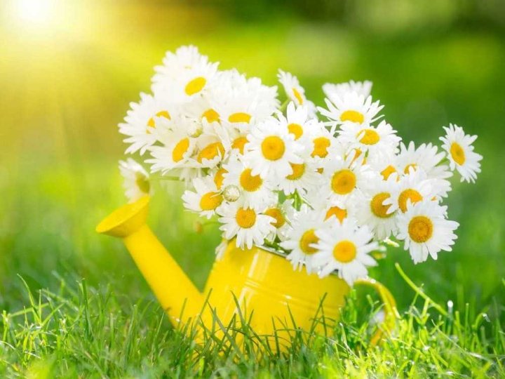 Якою буде погода у Луцьку та на Волині у понеділок, 25 серпня